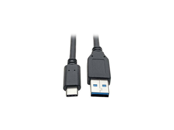 Tripp Lite USB C to USB-A Cable 5 Gbps USB 3.1 Gen 1 M/M USB Type C 6ft (U428-0