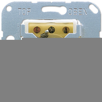 JUNG 134.28 - Key-operated switch - 2P - Metallic - 250 V - 50 - 60 Hz - 10 A