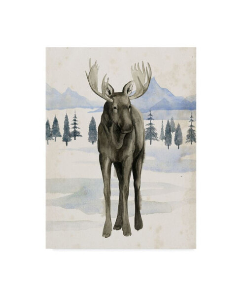 Grace Popp Alaskan Wilderness I Canvas Art - 15" x 20"