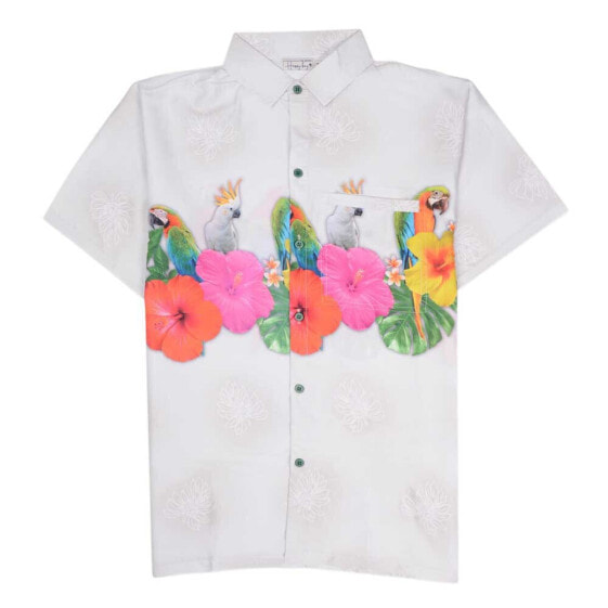 HAPPY BAY The parrot jungle hawaiian shirt
