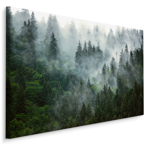 Картина Muralo Wald im Nebel Landschaft 3D