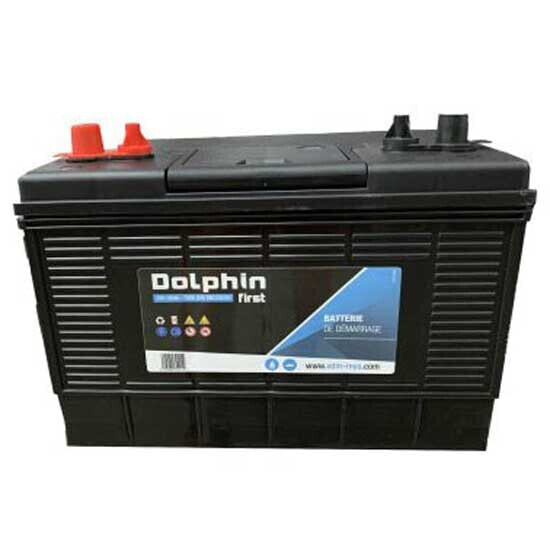 DOLPHIN CHARGER First 110A Battery