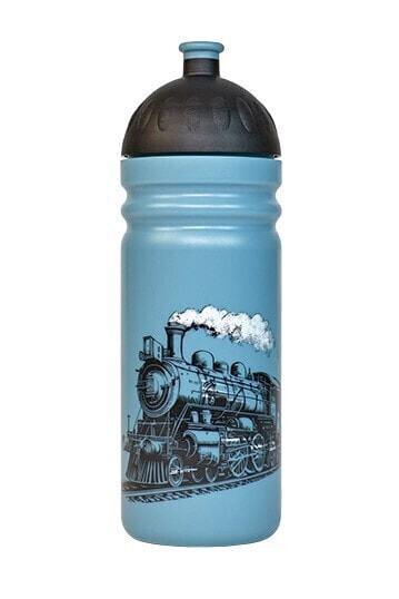 Healthy bottle Steam express 0.7 l