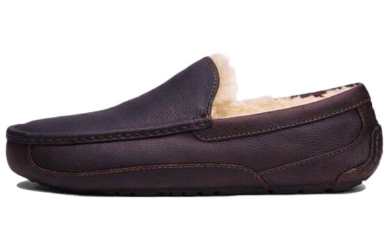 UGG Ascot 5379-CTEA Cozy Slip-On Shoes