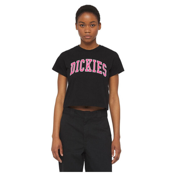 DICKIES Aitkin short sleeve T-shirt