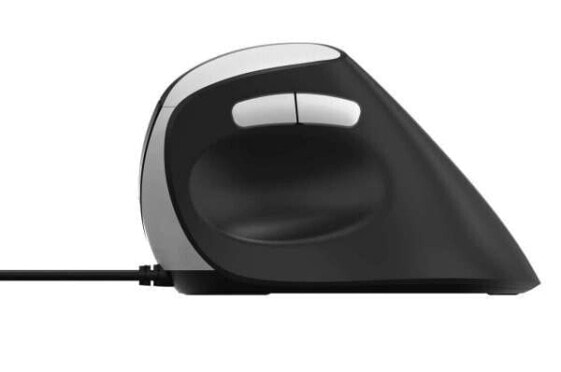 Rapoo EV200 - Right-hand - Optical - USB Type-A - 1600 DPI - Black - Silver