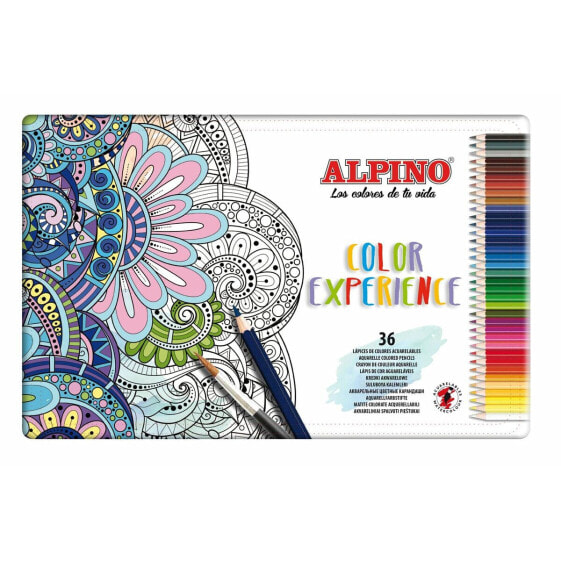 Акварельные цветные карандаши Alpino Color Experience Разноцветный 36 Предметы