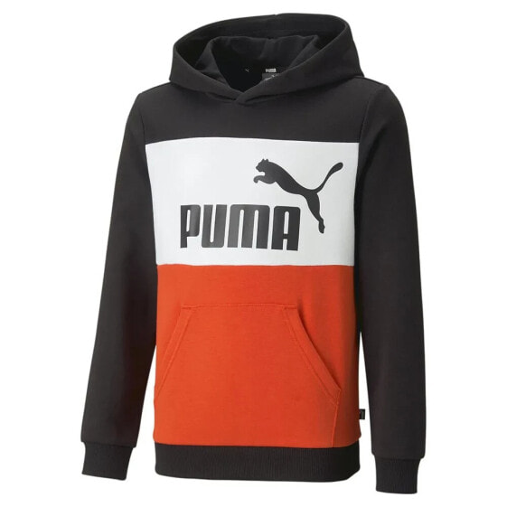 PUMA Ess Colorblock hoodie