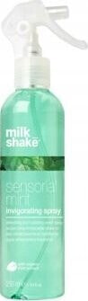 Milk Shake Milk Shake, Sensorial Mint, Paraben-Free, Hair Spray Treatment, Invigorating, 250 ml For Women