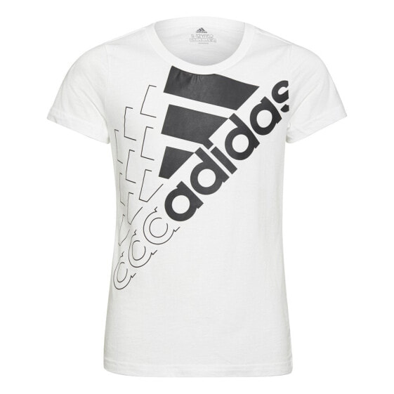 Футболка для мальчиков Adidas Essentials Logo T1