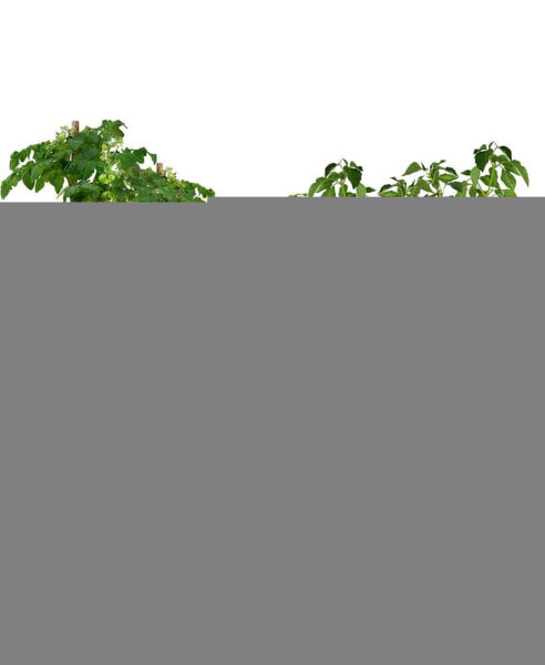 Raised Garden Bed, Elevated Herb Planter for Growing Fresh Herbs