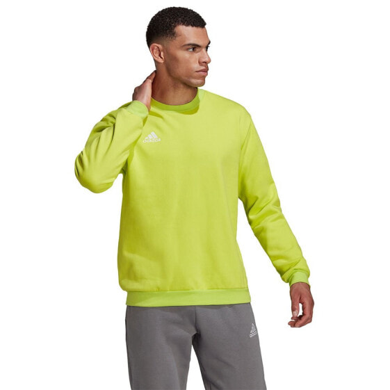 ADIDAS Entrada 22 Stadium SW sweatshirt