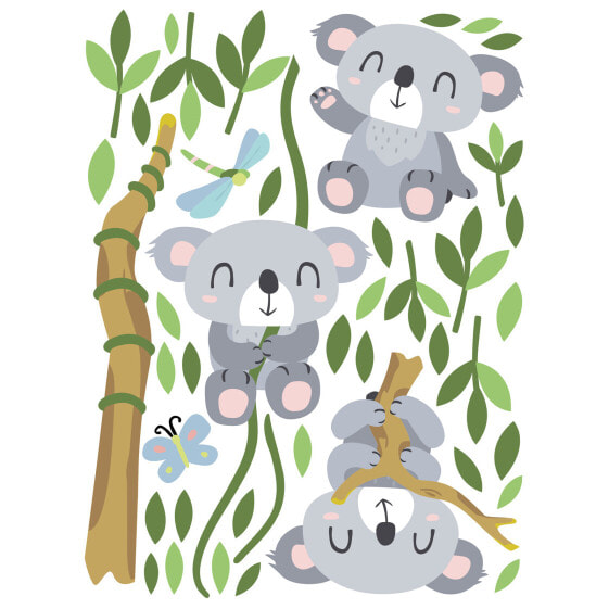 Koala Set