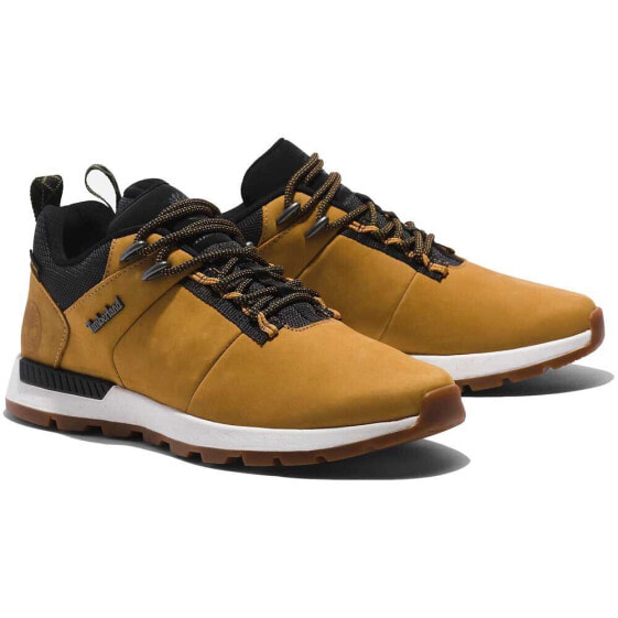 TIMBERLAND Field Trekker trainers