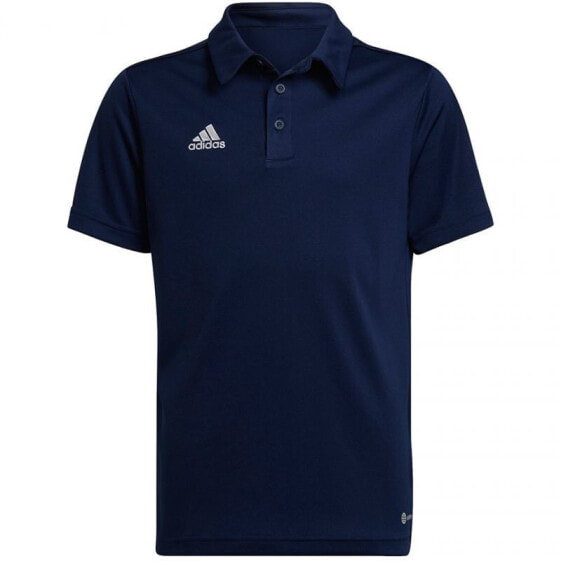 Adidas entrada shirt online