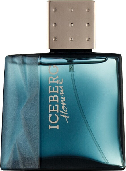 Iceberg Homme - Eau de Toilette 50 ml