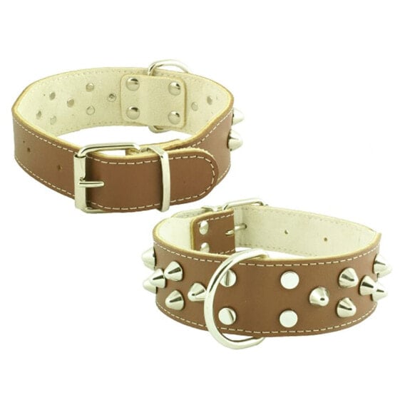 YOUPET Bull Dog Co3F 60x4 cm Dog Collar