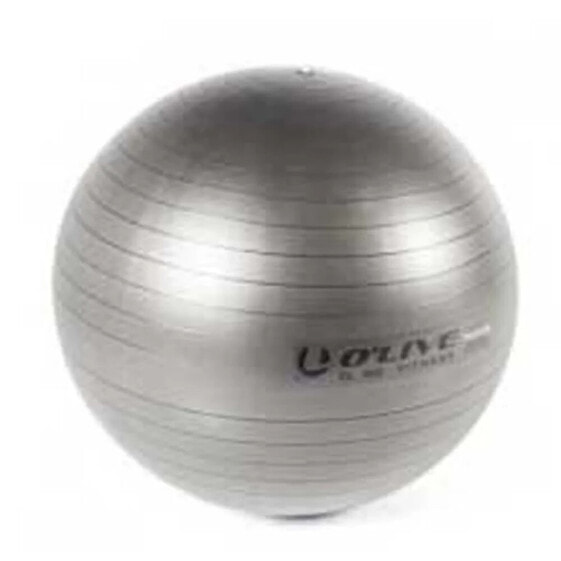 OLIVE Fitness Fitball