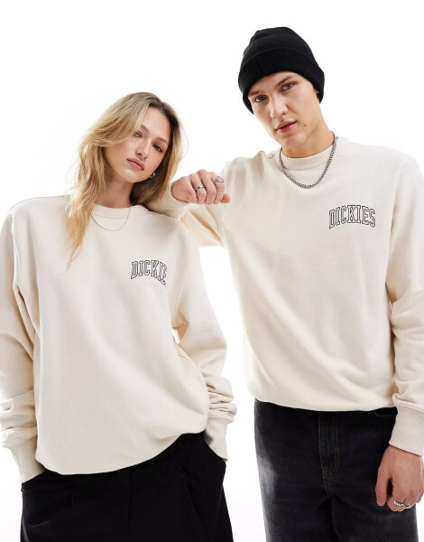 Dickies aitkin varsity left chest logo sweatshirt in stone