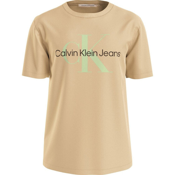 CALVIN KLEIN JEANS Seasonal Monologo short sleeve T-shirt