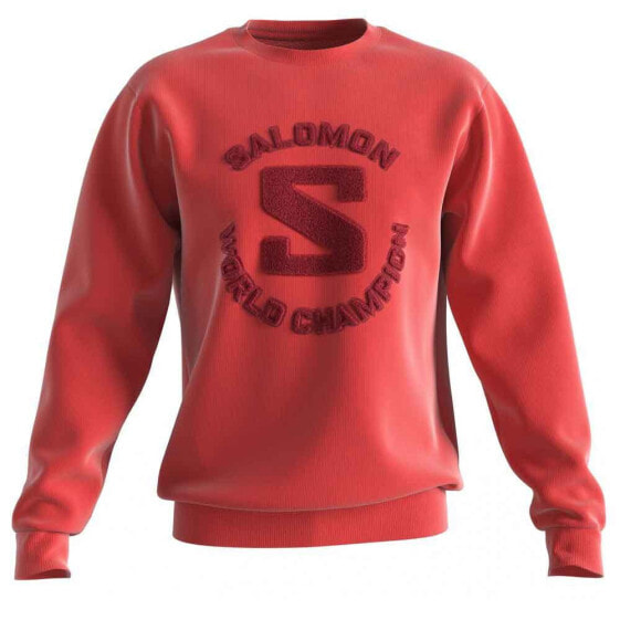 SALOMON Outlife sweatshirt