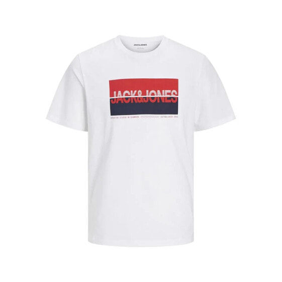 JACK & JONES Nolan short sleeve T-shirt