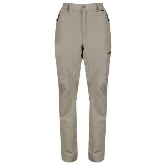 REGATTA Highton Regular pants