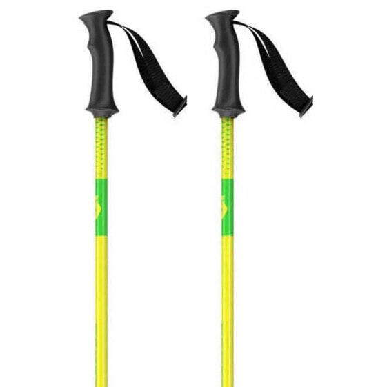 SCOTT Element Junior Poles