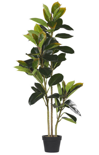 Искусственные цветы Beliani FICUS ELASTICA