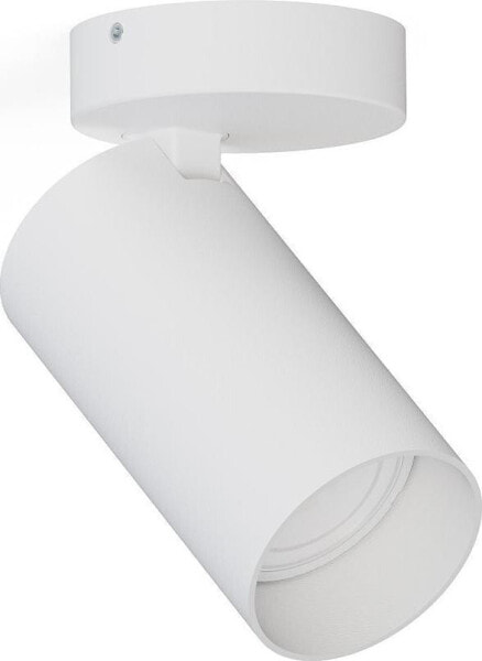 Lampa sufitowa Nowodvorski Biały downlight pokojowy Mono 7807 metalowa tuba kierunkowy spot