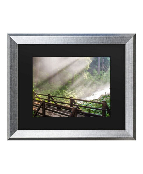 Pierre Leclerc Forest Sunlight Matted Framed Art - 27" x 33"