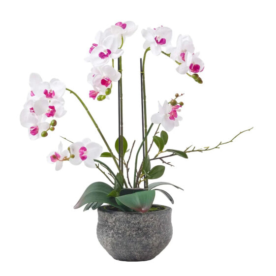 Искусственные цветы Homescapes Künstliche weiße Phalaenopsis-Orchidee