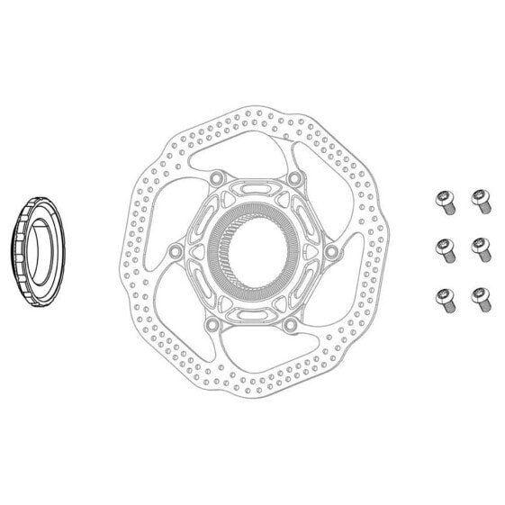 SRAM Rotor Bolts T25 24 Units Screw