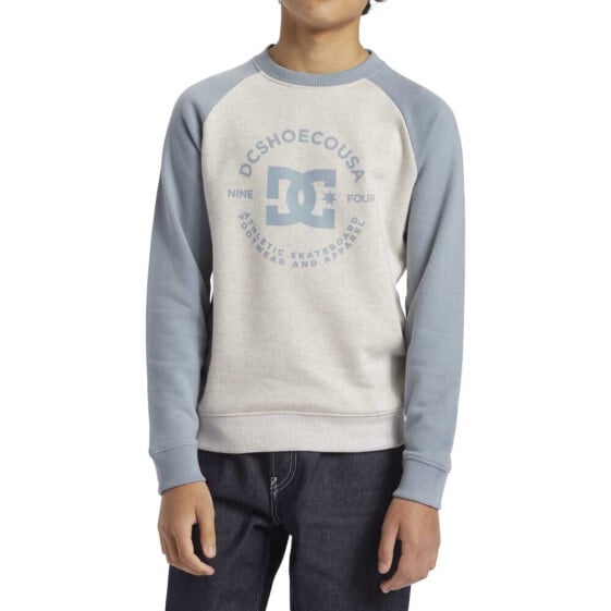 DC Shoes Strpltrglncwb sweatshirt