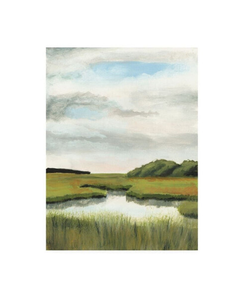 Naomi Mccavitt Marsh Landscapes II Canvas Art - 37" x 49"