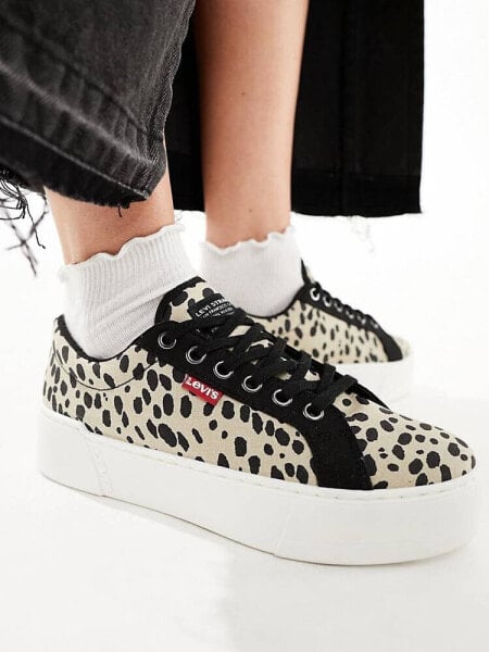 Levi's Tijuana trainer with logo in leopard print  