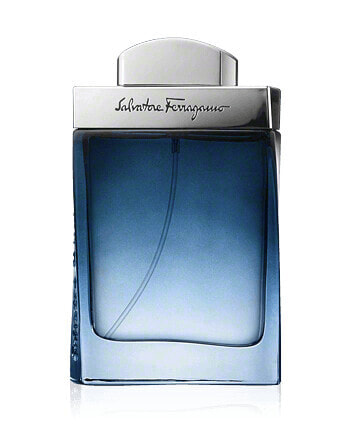 Salvatore Ferragamo Subtil pour Homme Eau de Toilette Spray