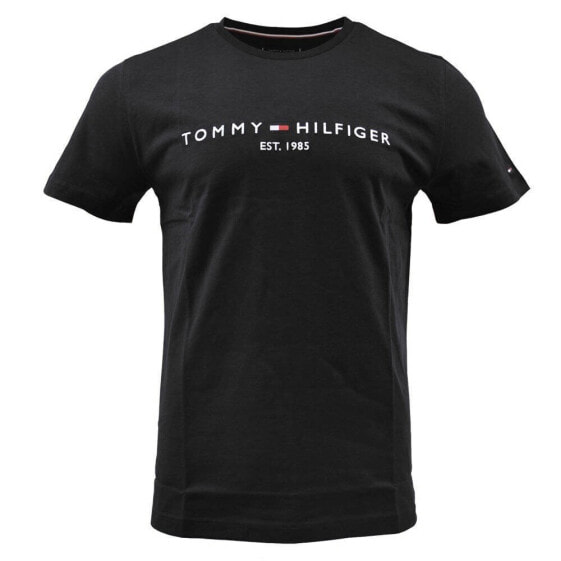 Футболка мужская Tommy Hilfiger MW0MW11465BAS