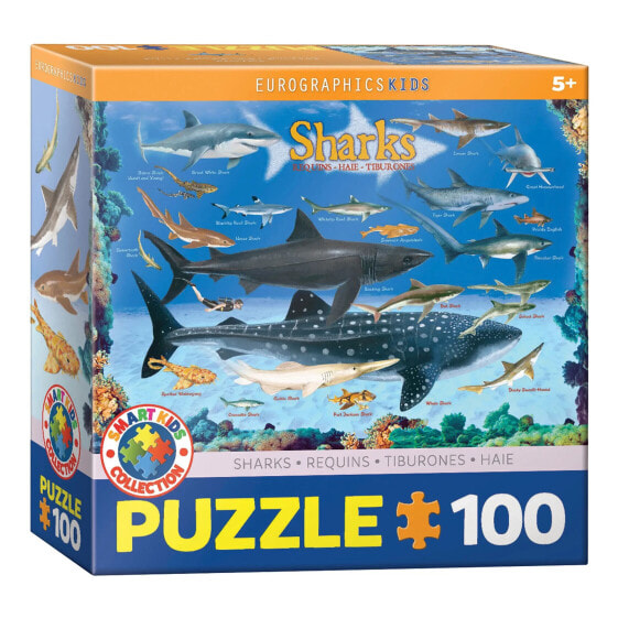 Puzzle Haie