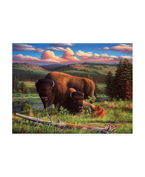 R W Hedge Buffalo Nation Canvas Art - 36.5" x 48"