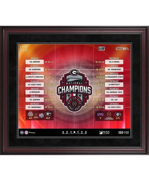 Georgia Bulldogs College Football Playoff 2022 National Champions 20'' x 24'' Collage