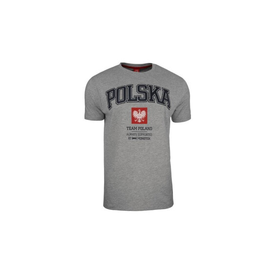 Мужская спортивная футболка серая с надписью Monotox Polska