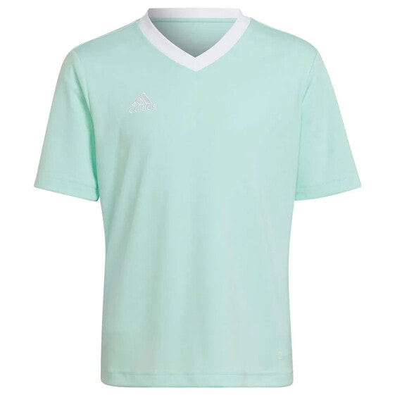 ADIDAS Entrada 22 short sleeve T-shirt