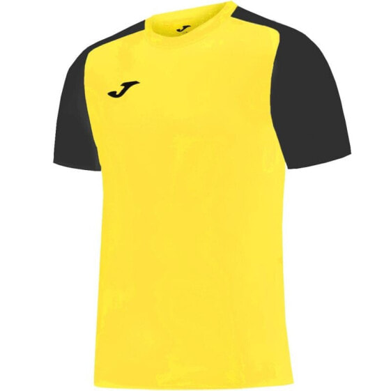 Футболка мужская Joma Academy IV Sleeve 101968.901