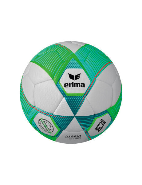 Мяч для гимнастики Erima HYBRID LITE 290
