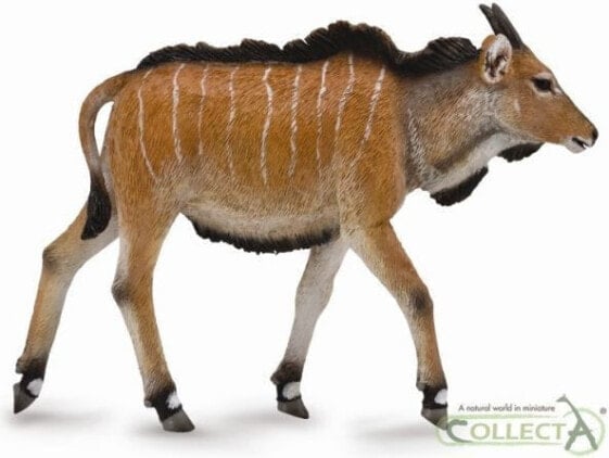 Collect figurine Eland Antelope - calf (004-88768)