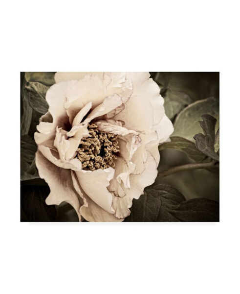 Rachel Perry Golden Era Peony I Canvas Art - 20" x 25"