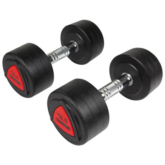 FINNLO 12.5kg Dumbbell 2 Units