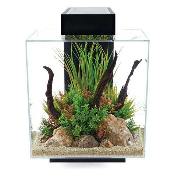 FLUVAL Edge LED 2.0 46L aquarium kit