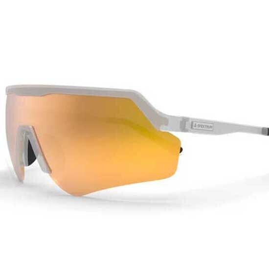 SPEKTRUM Blankster Polarized Sunglasses